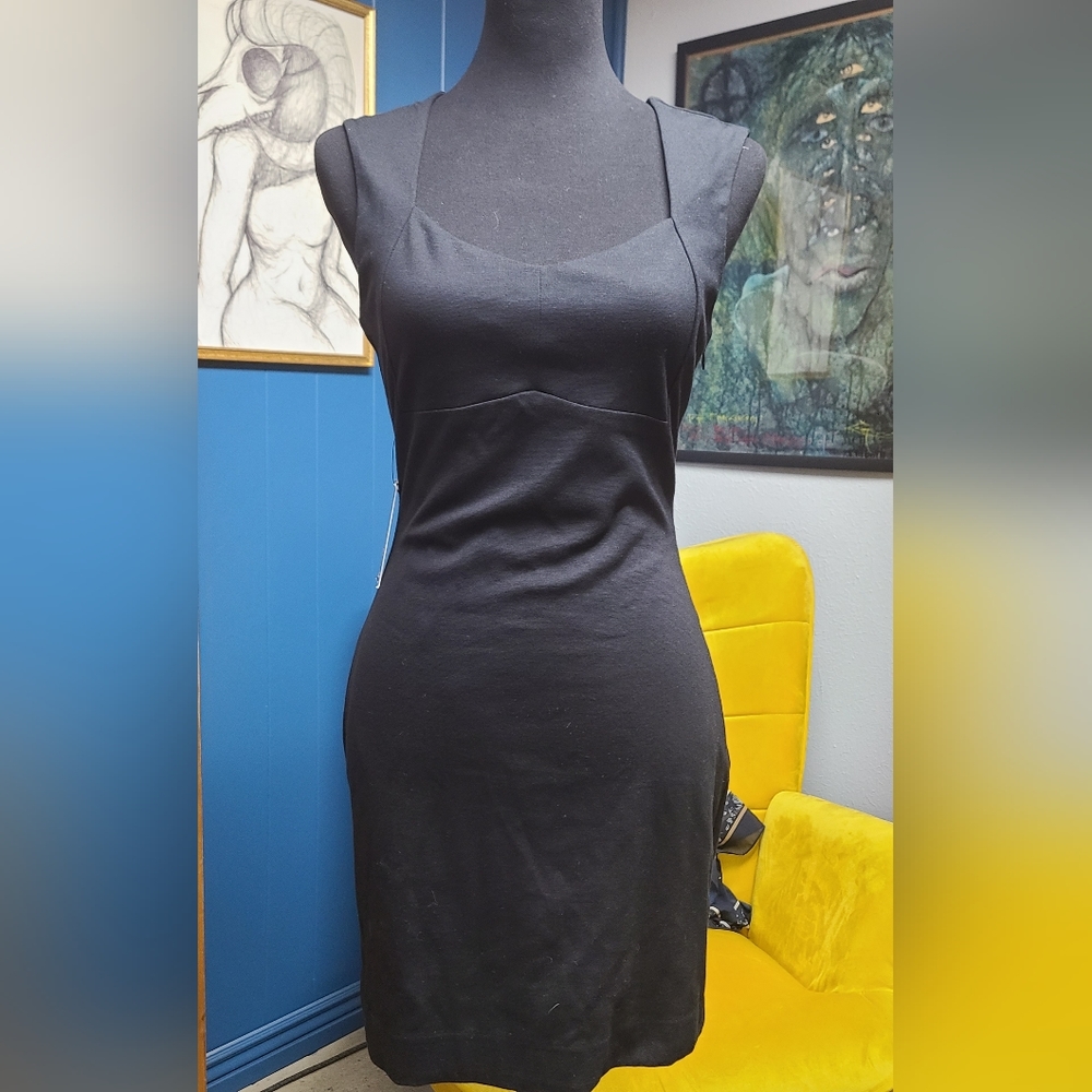 Express Open Back Dress Size 4